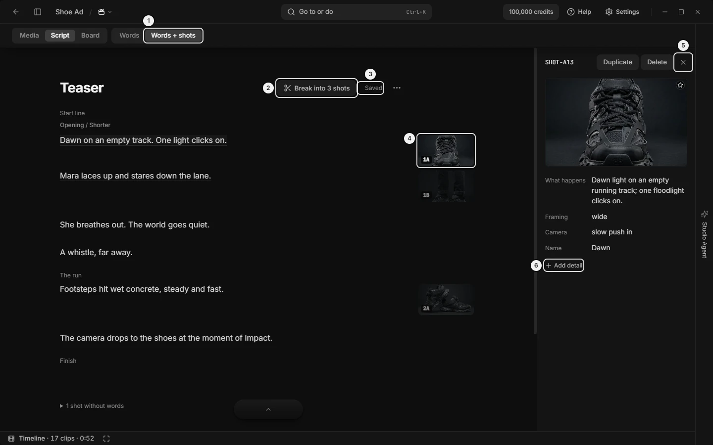 The Script tab in Words + shots, one Shot’s details open